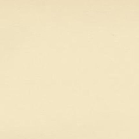 Antique Bird Print of The Rusty-tailed Flycatcher by Von Wright, 1927, close-up 1