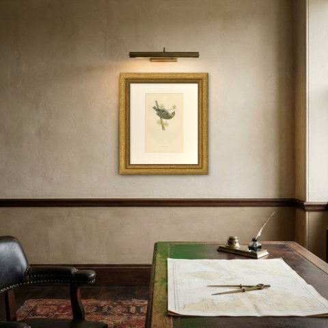 Firecrest Hanging Upside Down from a Conifer Twig, Bird Print, Morris, 1896, shown framed on a wall