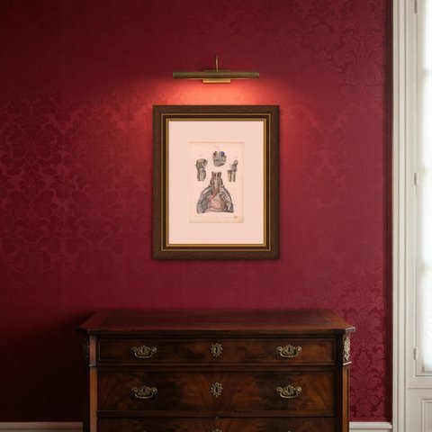 Nerves of the Heart and Larynx, Antique Hirschfeld Anatomy Print, 1866, shown framed in a room