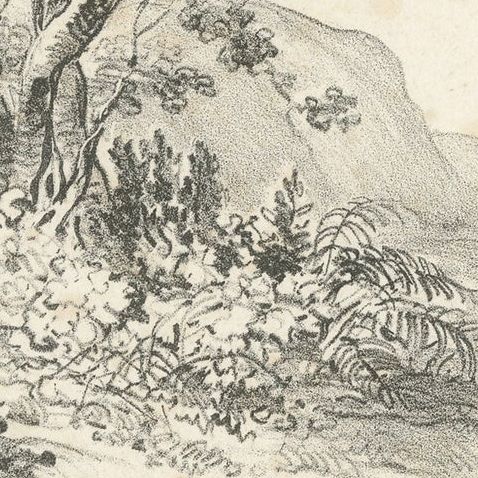 Antique Print of the Encounter with a Black Snake, close-up 2