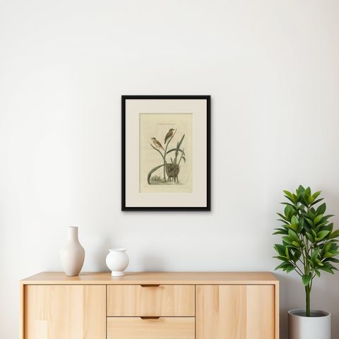 Antique Bird Print of the Eurasian Reed Warbler with Nest and Eggs, 1789, shown framed on a wall