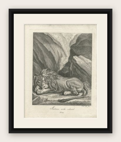 Antique Print of a sleeping Lion in a mountainous landscape, shown framed