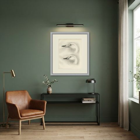 Heads of the Wild Swans, Antique Bird Print after Lilian Medland, circa 1909, shown framed in a room