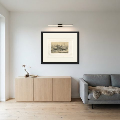 Mauchamp Merino Ram and Ewe, Rambouillet, Antique Sheep Print, 1873, shown framed in a room