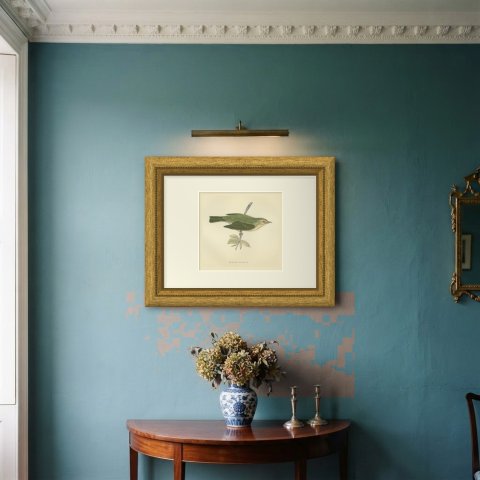 Willow Warbler on a Leafy Stem, Hand Colored Bird Print, Morris, 1896, shown framed on a wall