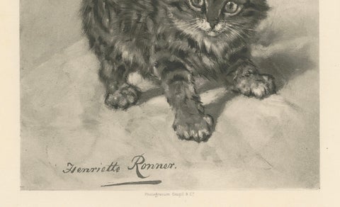 Rascal - A Playful Antique Cat Print by Henriette Ronner, 1894, close-up 3
