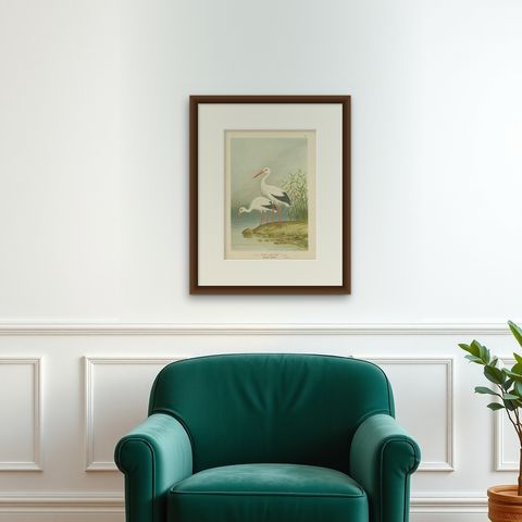 White Storks by the Water’s Edge, Elegant Antique Bird Chromolithograph c.1880, shown framed on a wall