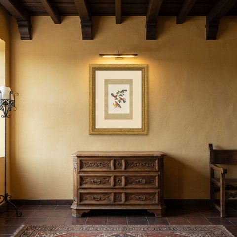 Red Tanagers, Brazilian Bird Print, Descourtilz, 1944, shown framed in a room