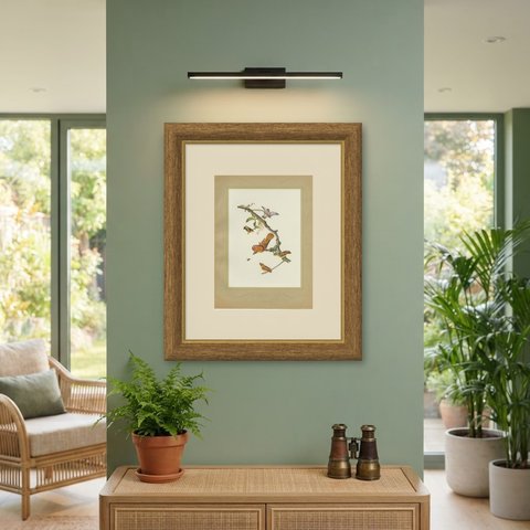 Hummingbirds, Brazilian Bird Print, Descourtilz, 1944, shown framed on a wall