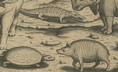 Original Copper Engraving of Various Celebrated Animals in India by De Bry, 1601, close-up 4