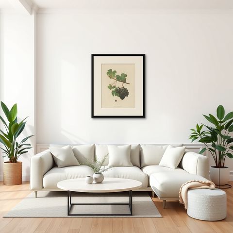 Rare Original Antique Lithograph of the Petit Bouschet Grape Variety, 1890, shown framed in a room