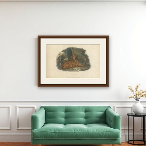 Antique Print of a Hound Dog by Pittman, 'circa 1835', shown framed on a wall