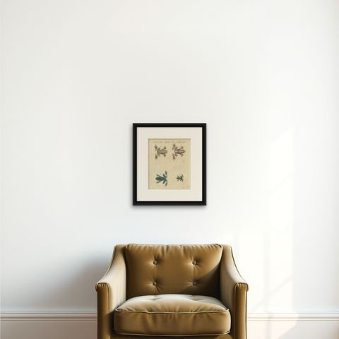 Four Colourful Tree Frogs, Antique Bertuch Print, Vienna, circa 1815, shown framed on a wall