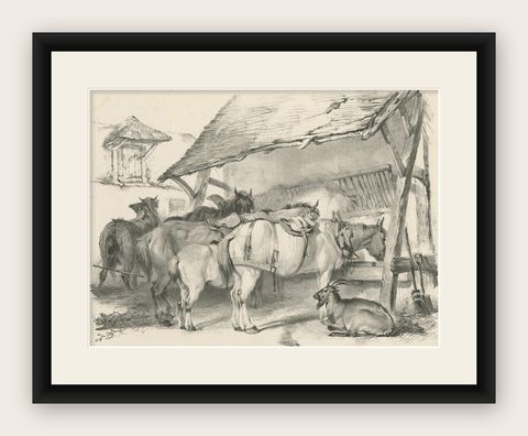 19th Century Antique Print of Horses and a Goat by Cooper, 1839, shown framed