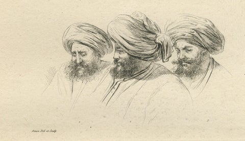 Comparative Head Studies and Cobra, Egypt, Antique Engraving, c.1802, close-up 1
