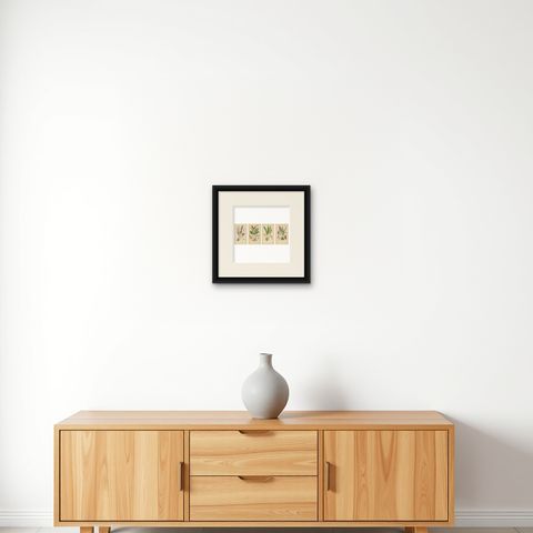 Nature's Masterpieces in Original Antique Print: The Orchids of 1904, shown framed on a wall