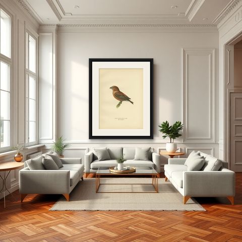 Decorative Antique Bird Print of the Parrot Crossbill, 1927, shown framed in a room