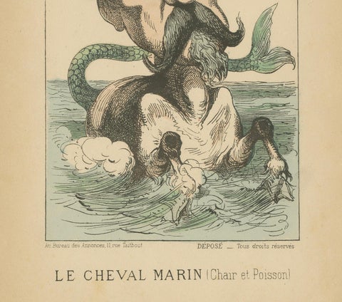Imperial Menagerie: Fleury - The Sea Horse (Flesh and Fish), 1870, close-up 2