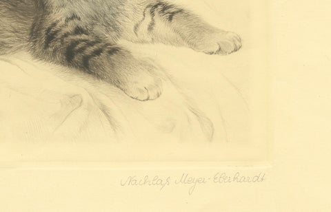 Antique Cat Etching by Kurt Meyer-Eberhardt, Estate Edition, Posthumous 1977, close-up 3