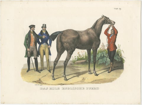 Original Hand Colored Antique Print of an English Horse, ca.1827, view 2