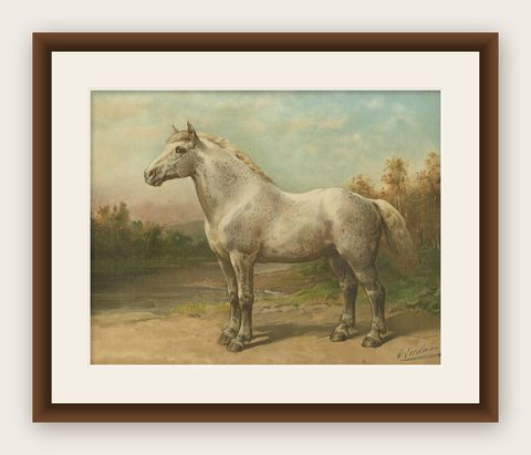 Antique Print of the Boulon Horse by O. Eerelman, 1898, shown framed