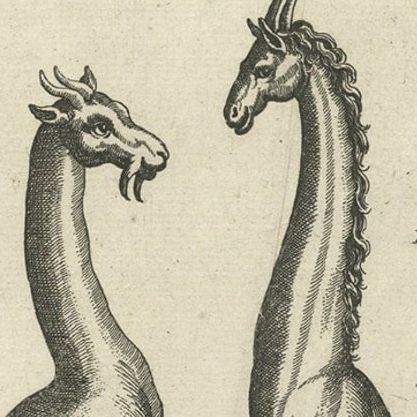Rare Antique Print of Various Animals, Camelus Iudi, Camelus Indicus Etc, 1657, close-up 1