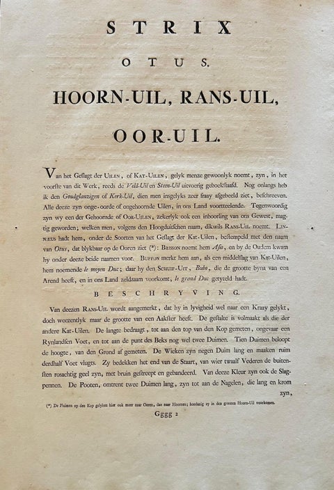 Strix Otus, Antique Long-Eared Owl Print by Nozeman & Sepp, 1809, view 11