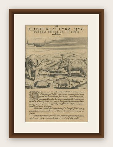 Original Copper Engraving of Various Celebrated Animals in India by De Bry, 1601, shown framed