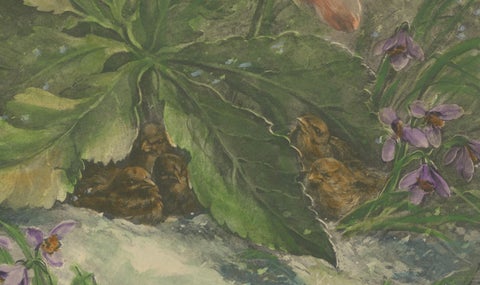 Snowdrops in Bloom - Giacomelli's Birds and Winter Flora, Circa 1891, close-up 2