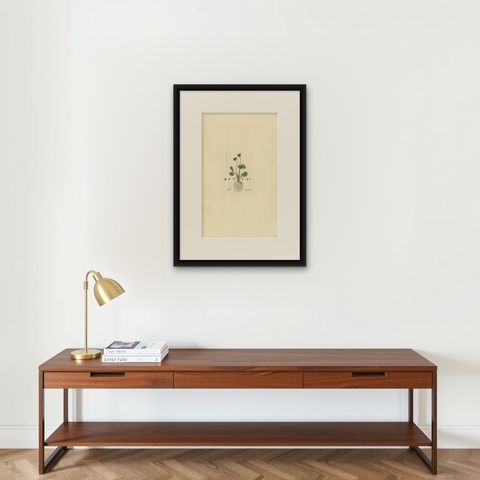 Antique Botany Print of Viola Palustris by Curtis, circa 1817, shown framed on a wall