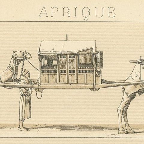 Antique Print of African Working Animals by Racinet, 'circa 1880', close-up 1