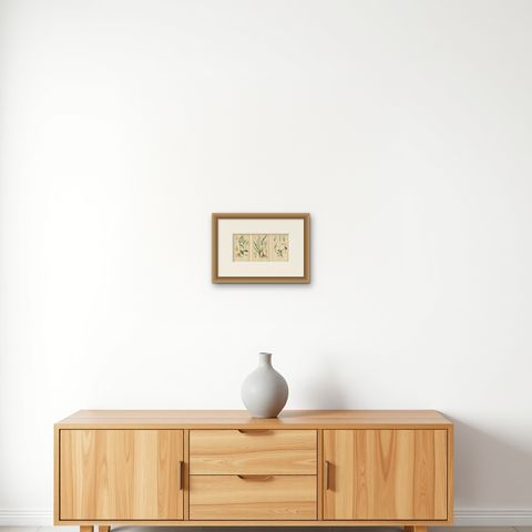 Orchid Elegance: Masterpieces of Botanical Illustration from 1904, shown framed on a wall