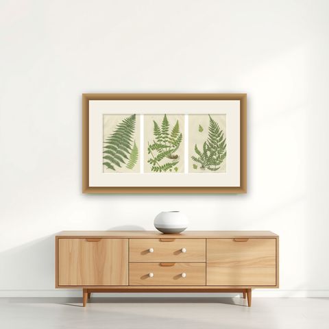 Lanceolate, Black Spleenwort & Wall Rue, Botanical Triptych, 1873, shown framed on a wall