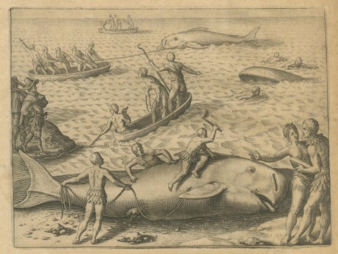 Exotic Encounters: Giant Crabs, Tortoises, Whales, and Cockfights - De Bry, 1598, close-up 4