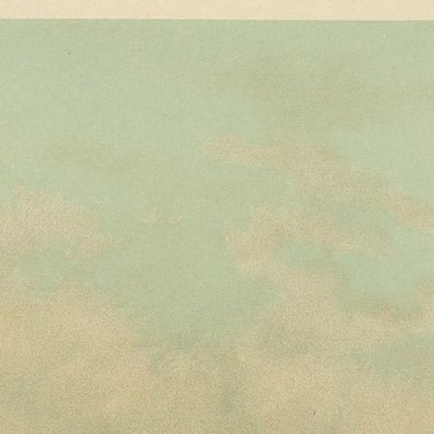 Antique Bird Print of the Little Bustard by Naumann, circa 1895, close-up 1
