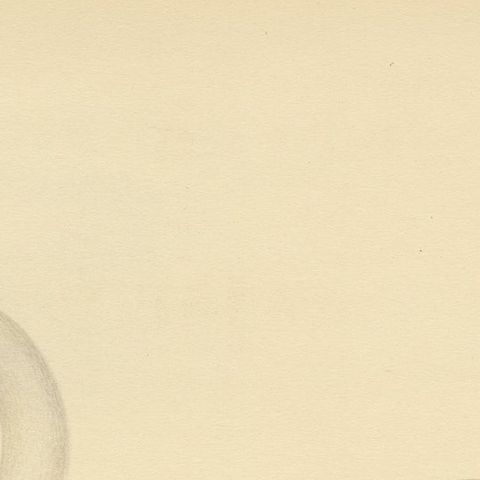 Grace on the Water: The Mute Swan (Cygnus olor) in Repose, 1929, close-up 3