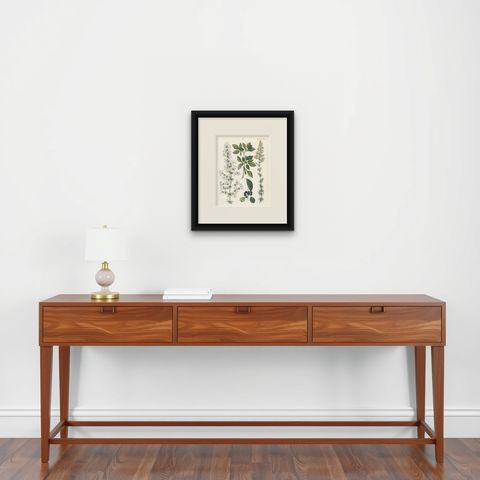 Hand-Colored Botanical Lithograph of Madder, Buckthorn, Cleavers, 1854, shown framed on a wall