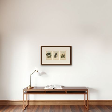 Birds of Prey, Antique Prints of Eagles and Falcons, Set of Three, 1894, shown framed on a wall