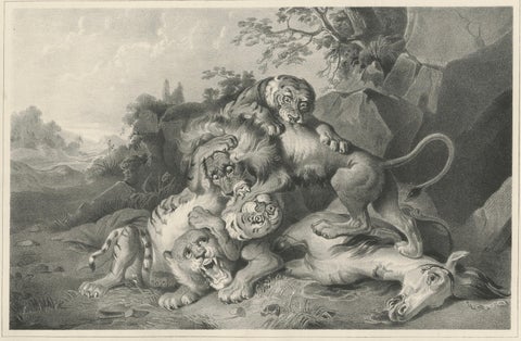 Raden Saleh Tigers & Lions Fight Horse Lithograph, The Hague c.1845, close-up 2