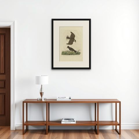 Antique Bird Print of the Crested Lark and Woodlark by Sepp & Nozeman, 1809, shown framed on a wall