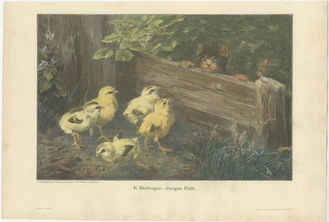 Set of 6 Original Antique Cat Prints made after paintings, circa 1898, view 5