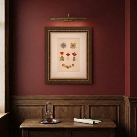 Orders of Brunswick, Order of Henry the Lion Insignia, Plate XVII, 1844, shown framed on a wall