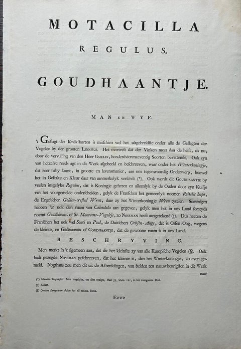 Antique Bird Print of the Goldcrest by Sepp & Nozeman, 1797, view 9