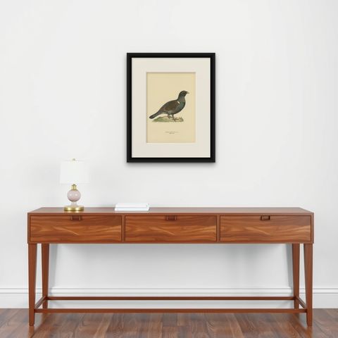 Antique Bird Print of a Male Western Capercaillie by Von Wright, 1929, shown framed on a wall
