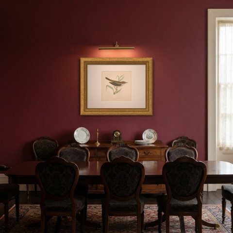 Reed Warbler Perched on a Reed, Hand Colored Bird Print by Morris, 1896, shown framed in a room