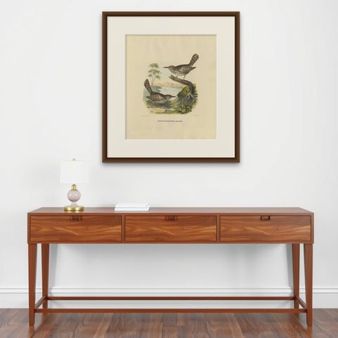Two Allied Wrens Antique Bird Print Made after D.G. Elliot, 1869, shown framed on a wall