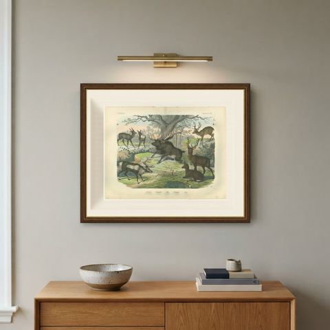 Antique Deer Print with Elk, Reindeer and Red Deer Stag, Kolb, circa 1890, shown framed on a wall