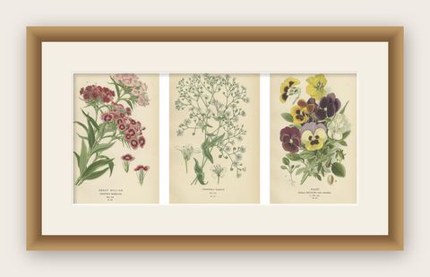 Victorian Vivids: A Floral Collection from Edward Step's Masterworks, 1896, shown framed