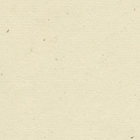 Northern Bottlenose Whale: Classic 18th Century Scientific Illustration, 1775, close-up 3