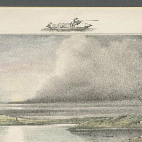 Antique Hunting Print of a shot at Brent Geese, circa 1863, close-up 1